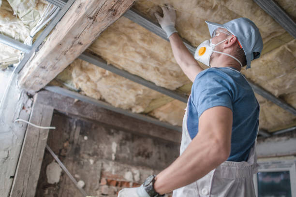 Best Eco-Friendly Insulation in Crockett, TX