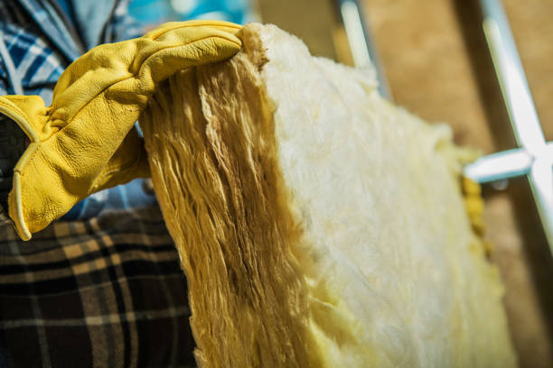 Best Cellulose Insulation in Crockett, TX