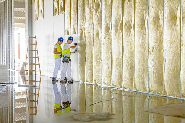 Trusted Crockett, TX Insulation Contractor Experts